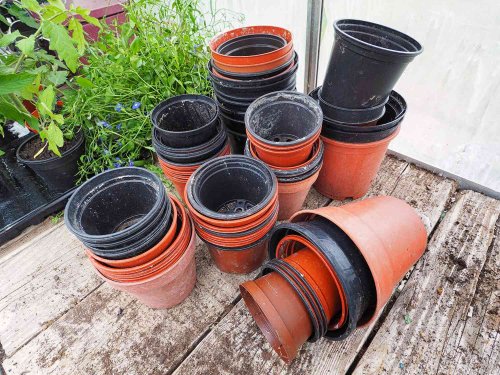 The Grumpy Gardener's Tip For Reusing Plastic Pots