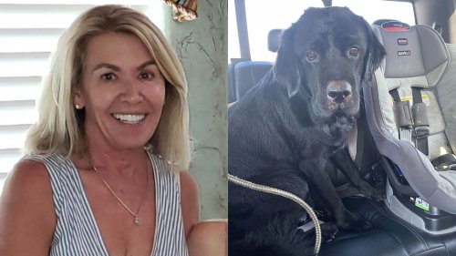 Dog Leads Rescuers to Missing Texas Woman with Dementia
