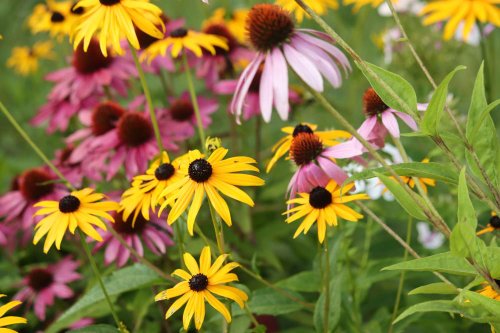 I Planted A Flower Bed In 10 Minutes Flat Thanks To This $4.99 Product