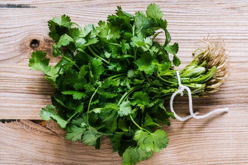 How To Properly Wash Cilantro—And Why It Matters