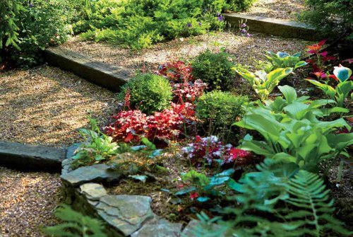 What I Wish I Knew Before DIY-ing My Landscaping