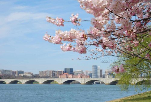 This Idyllic Southern Neighborhood Was Just Named The Best Place To Live In The U.S.