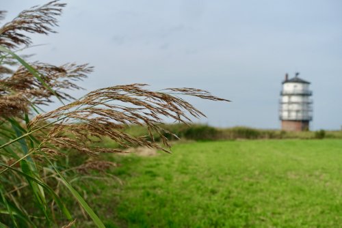 Altes Land Sehenswürdigkeiten & Ausflugsziele: 33 entspannte Tipps & Ideen