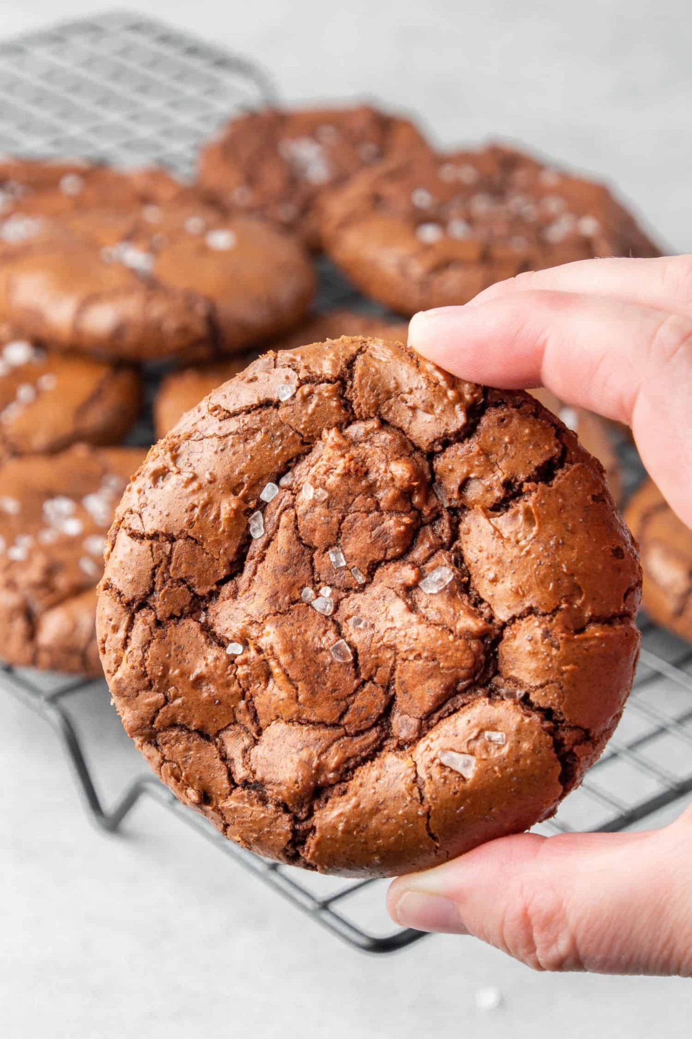 Fudge & Crinkly Brownie Cookies