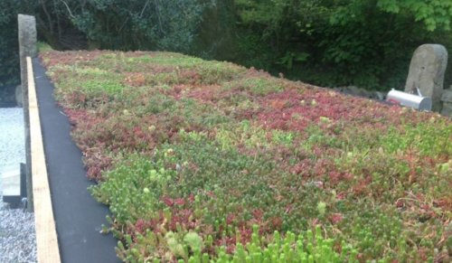 Do Green Roofs Improve Air Quality?