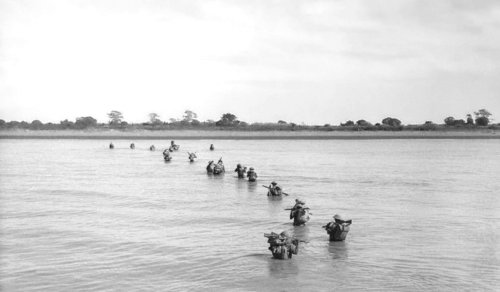The crocodile casualties of the second world war
