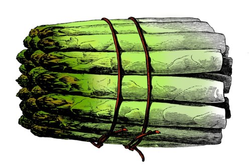 Why the Romans loved asparagus