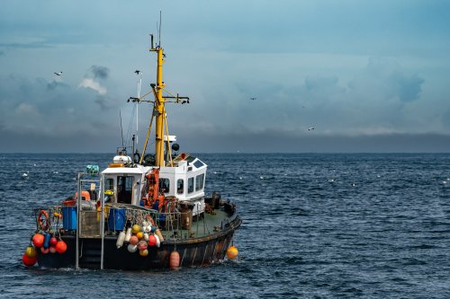 Why fishing matters