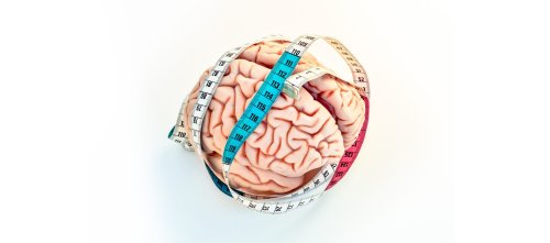 Weniger ist mehr: Paradox Gehirn » HIRN UND WEG » SciLogs - Wissenschaftsblogs