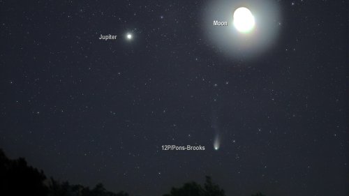 Comet 12P/Pons-Brooks in planetary conjunction