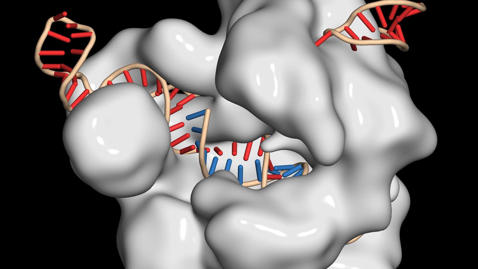 Gene Editing: Die 5 wichtigsten Fragen zu CRISPR/Cas9