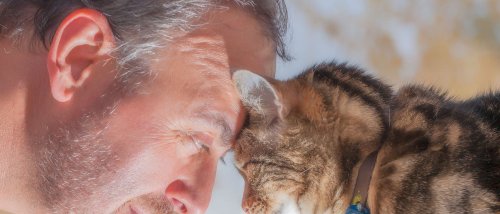 Wie Tiere denken und fühlen