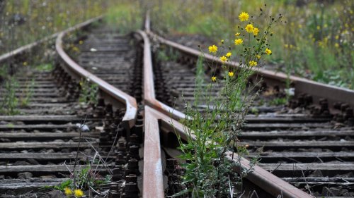 Das plant Schwarz-Rot bei Klima, Energie, Umwelt und Verkehr