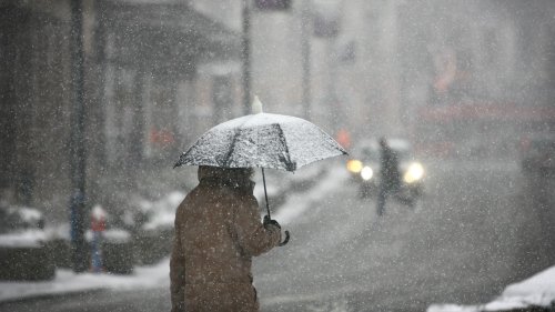 Winter: Das große Zittern