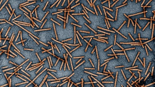 Biotechnologie: Eine molekulare Spritze für Körperzellen