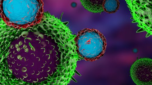 CAR-T-Zellen: Immuntherapien im Aufwind