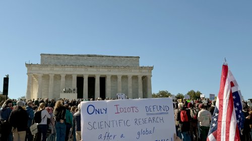 Mit der Kettensäge gegen die Wissenschaft