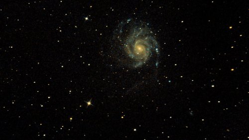 Spiralgalaxie M 101 mit Supernova