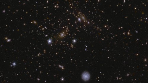 Abertausende neue Galaxien mit dem Weltraumteleskop Euclid entdeckt
