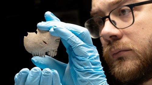 Cambridge: Eisenzeitlicher Kamm, geschnitzt aus einem menschlichen Schädel