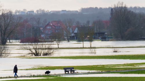 Deutschland: Extreme Dürre nach Jahren vorüber
