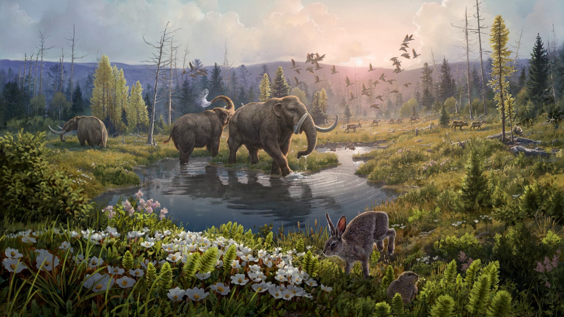 Auferstanden aus Fossilien