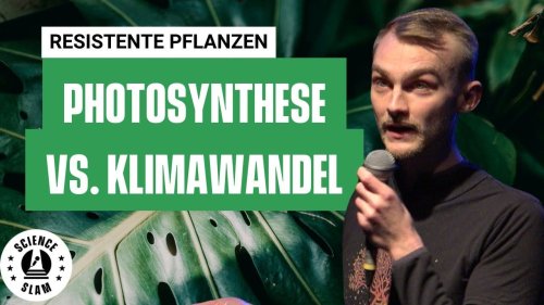Pflanzen auf den Klimawandel vorbereiten - mit Chloroplasten