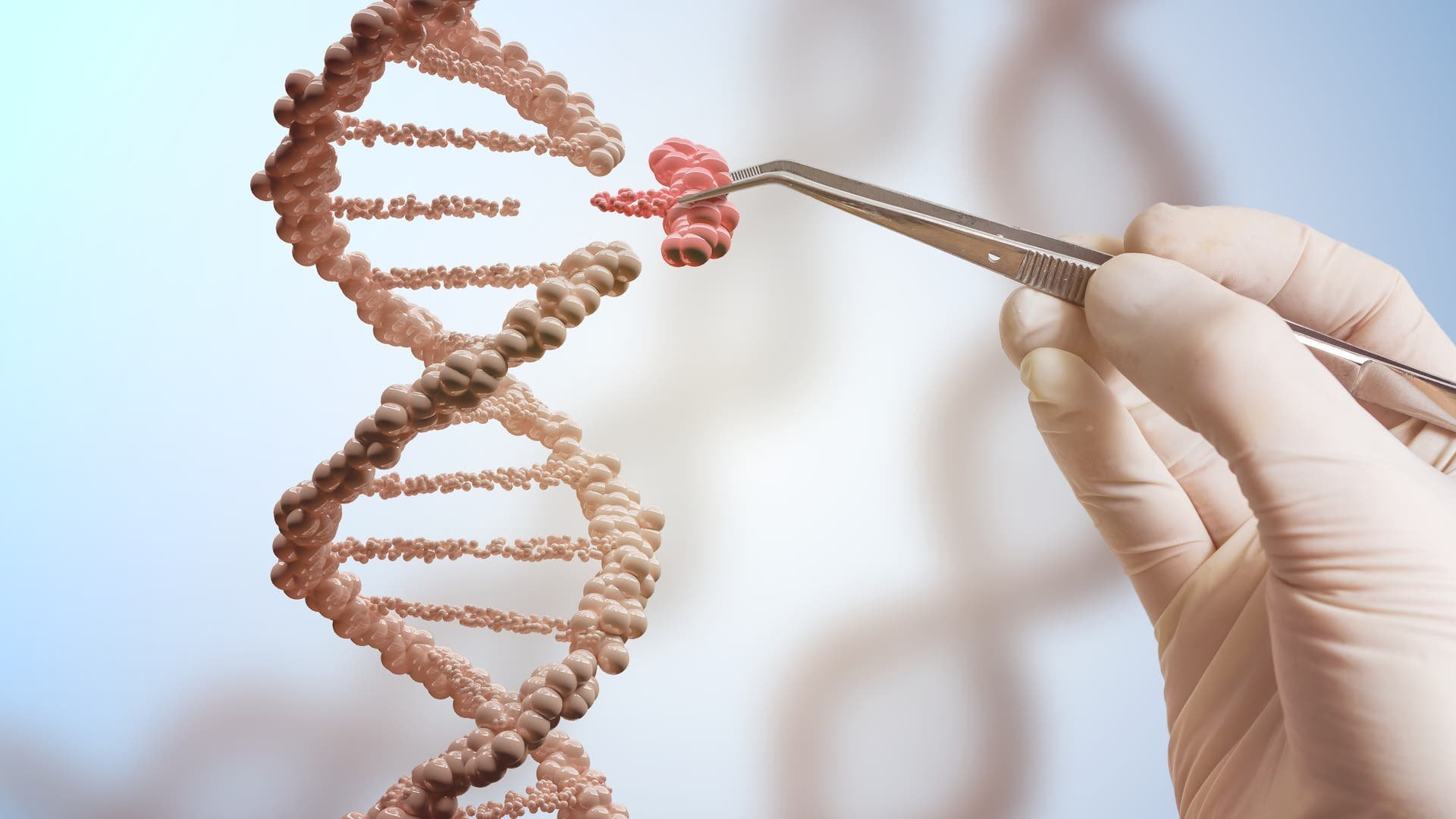Neues Genwerkzeug: Präziseres Werkzeug zum DNA-Umschreiben