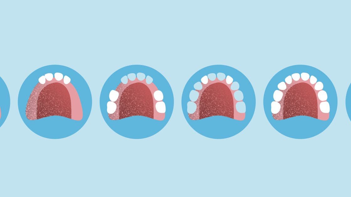 Gesunde Zähne: Zum Anbeißen