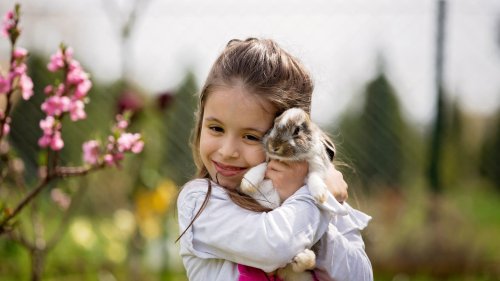 Gute Gründe für den Osterhasen