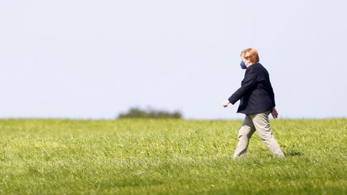 Storks (Wahl-)Spezialfutter: »Alle Umweltschutzziele wurden locker gerissen«