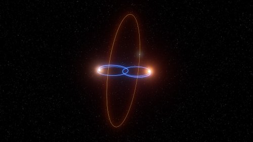 Ein Exoplanet umrundet zwei Braune Zwerge auf polarer Bahn