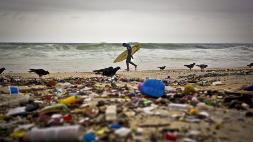 UN-Ozeankonferenz: Drastische Maßnahmen zum Meeresschutz nötig