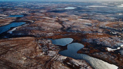 Arktis: Die sibirische Tundra könnte fast komplett verschwinden