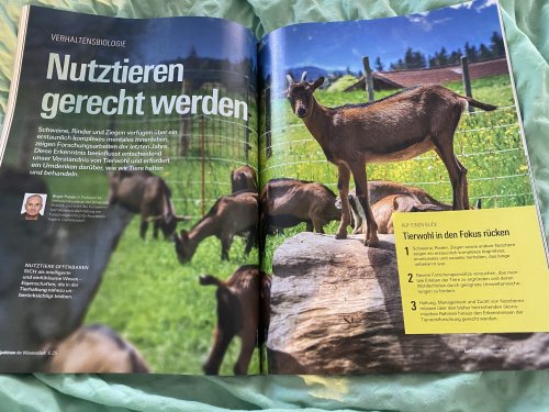 Alle können etwas tun. Solarpunk und Fleischverzicht
