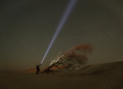 Der schiefe Baum vom Borkumer Strand unterm Sternenzelt