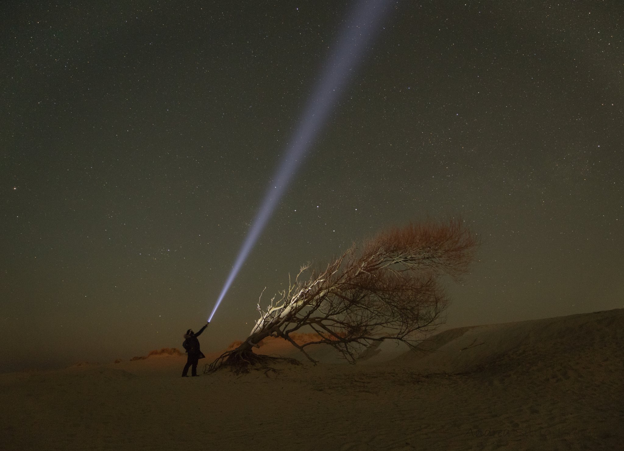Der schiefe Baum vom Borkumer Strand unterm Sternenzelt