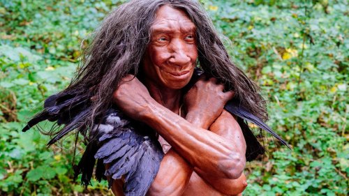 Paläogenetik: »Jeder besitzt Erbgut vom Neandertaler«
