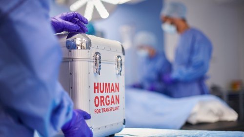 Organspende und warum sie so wichtig ist