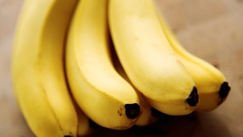 Doktor Whatson: Warum wir bald keine Bananen mehr essen können