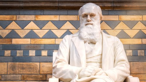 Hemmer und Meßner erzählen: Kleine Geschichte der Evolutionslehre, die nicht nur Darwin einfiel