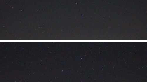 Pallas im Sternbild Großer Hund