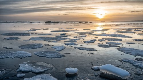 Klimawandel: Ist die Arktis schon im nächsten Jahrzehnt eisfrei?