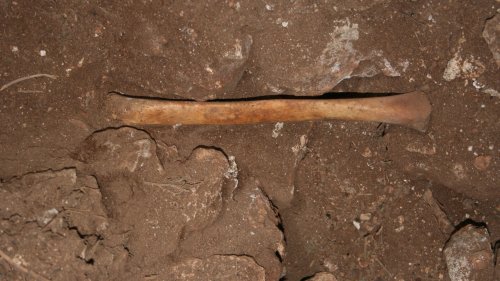 Höhle in Südspanien: Bezeugen diese menschlichen Knochen Kannibalismus?
