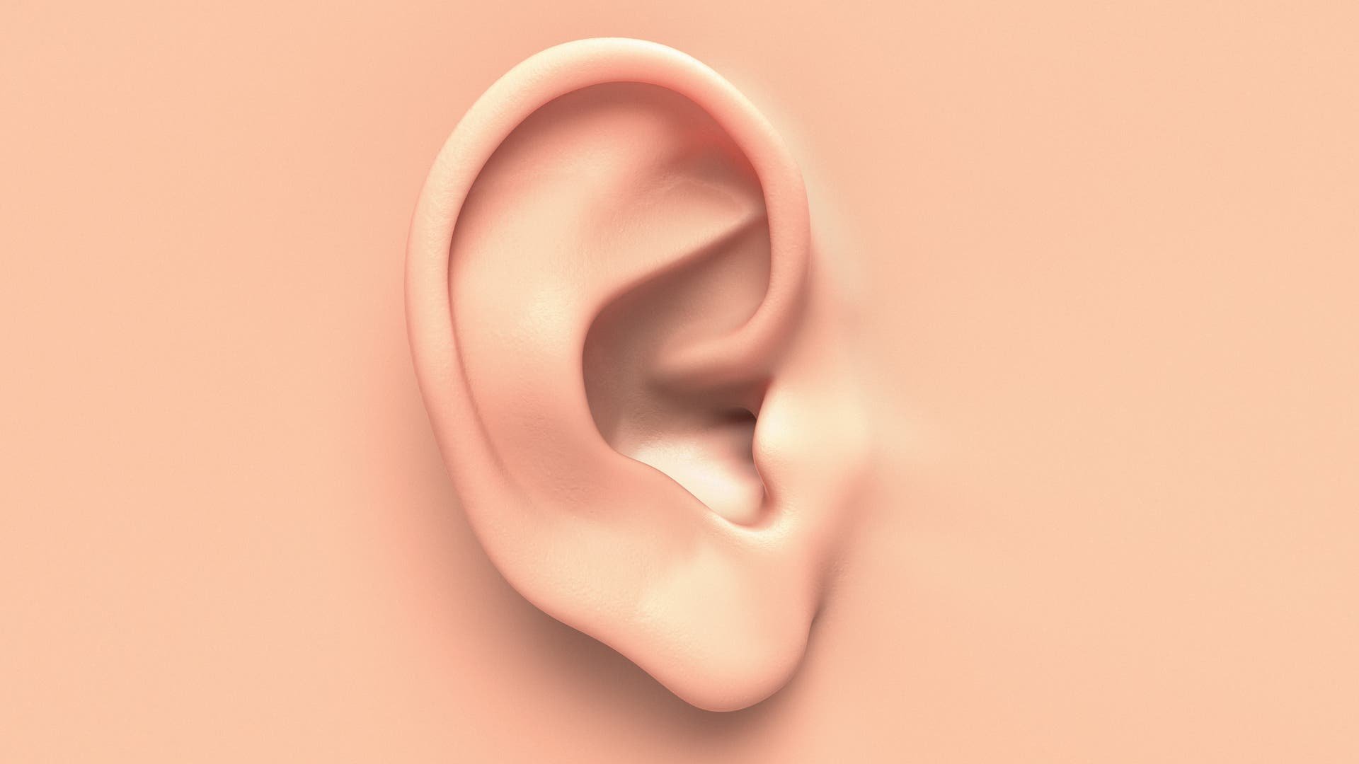 Sinne: Mit Gentherapie gegen Hörschäden