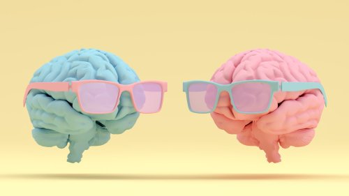 Spektrum-Podcast: Wie bleibt das Gehirn geschmeidig?