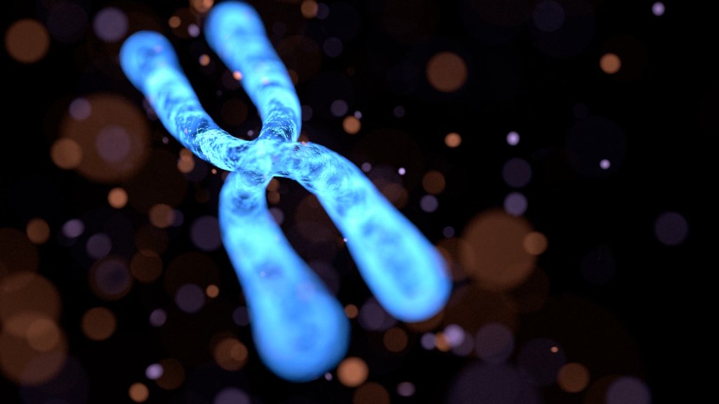 Evolution und Epigenetik
