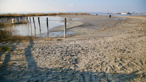 Klimawandel: Donauwasser soll Neusiedler See retten