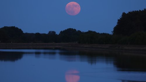 Vollmond-Aufgang am 3. Juni 2023 über dem Elbeseiten-Kanal bei Uelzen