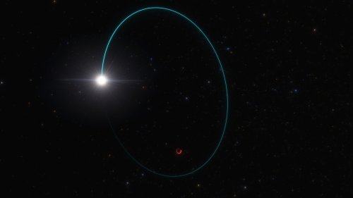 Das massereichste stellare Schwarze Loch der Galaxis